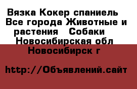 Вязка Кокер спаниель - Все города Животные и растения » Собаки   . Новосибирская обл.,Новосибирск г.